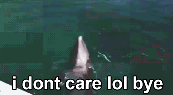 I Don’t Care LOL Bye Dolphin